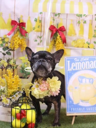 2024047さつきちゃん